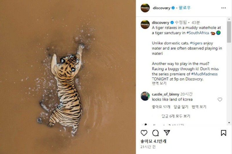 디스커버리에 올라온 한반도 닮은 호랑이 사진.jpg