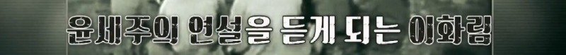 파묘에서 이름이 나온 독립운동가 이화림 이야기