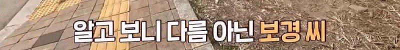 아파트 주민들에겐 사납지만 어느 한 가족에게만 따뜻한 유기견