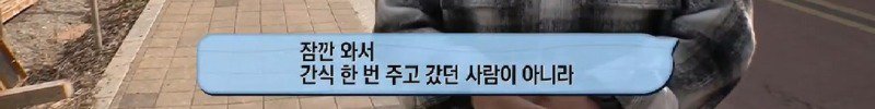 아파트 주민들에겐 사납지만 어느 한 가족에게만 따뜻한 유기견