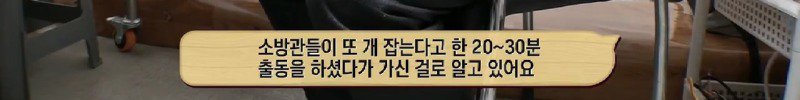 아파트 주민들에겐 사납지만 어느 한 가족에게만 따뜻한 유기견