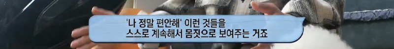 아파트 주민들에겐 사납지만 어느 한 가족에게만 따뜻한 유기견
