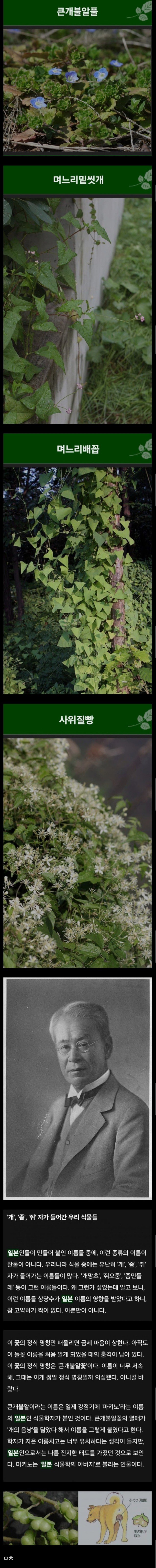 우리나라 식물들 중 천박한 이름이 많은 이유