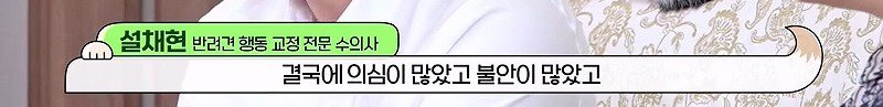 구조한지 1년 3개월이 되었지만 못만지게해서 발톱 부러지고 목욕은 꿈도 못꾼 개