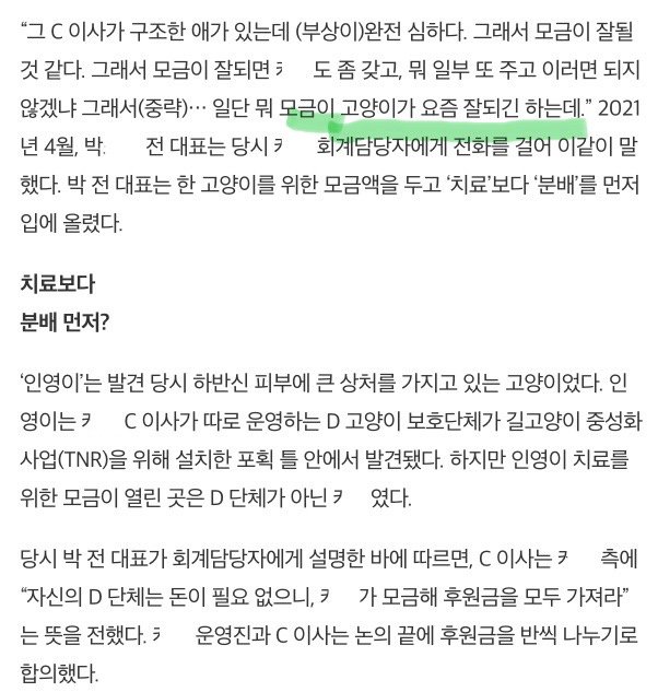 해결 못한 마라도 길고양이 문제. 결국..