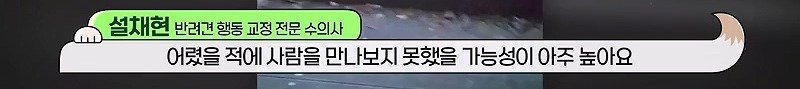 구조한지 1년 3개월이 되었지만 못만지게해서 발톱 부러지고 목욕은 꿈도 못꾼 개