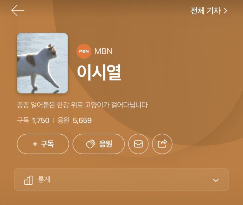 꽁꽁 얼어붙은 한강에 고양이 기자 근황