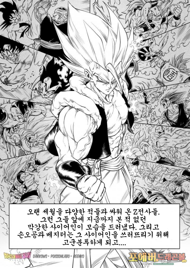 해외에서 인기있는 드래곤볼 팬픽