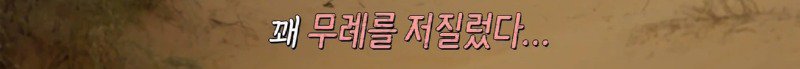스압) 사하라사막의 유목민 찾아간 곽튜브