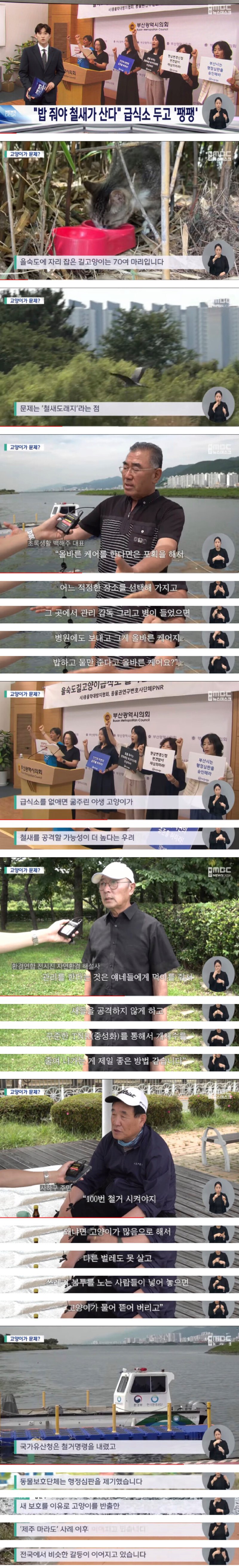 ?밥 줘야 철새가 산다??