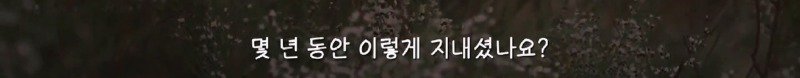 스압) 사하라사막의 유목민 찾아간 곽튜브