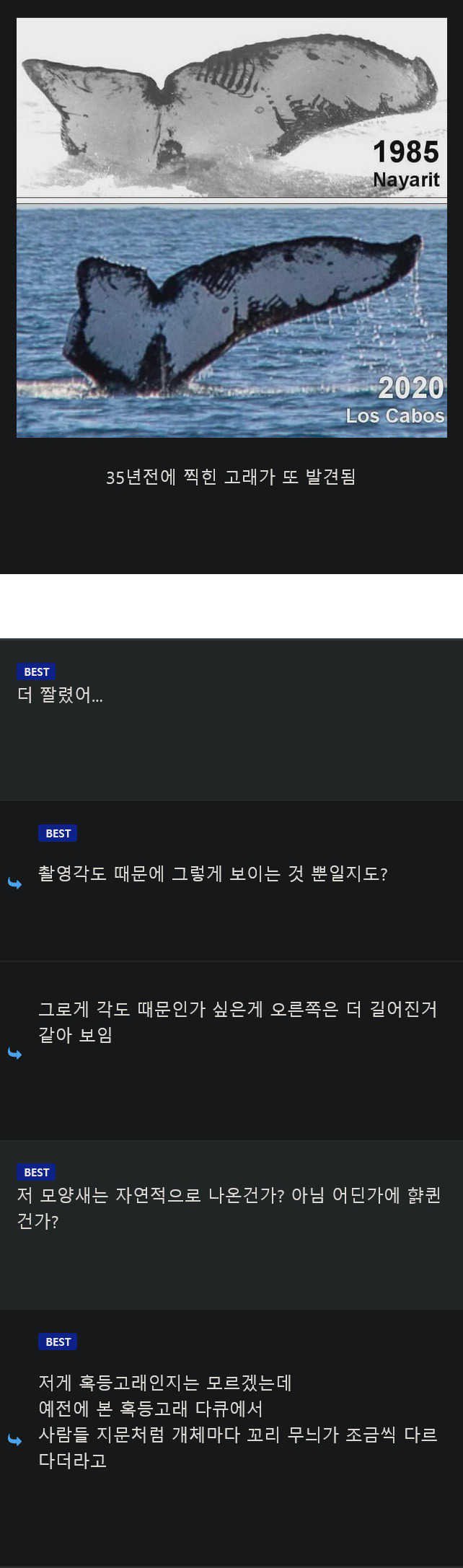 너 이자식!!! 살아 있었구나!!!