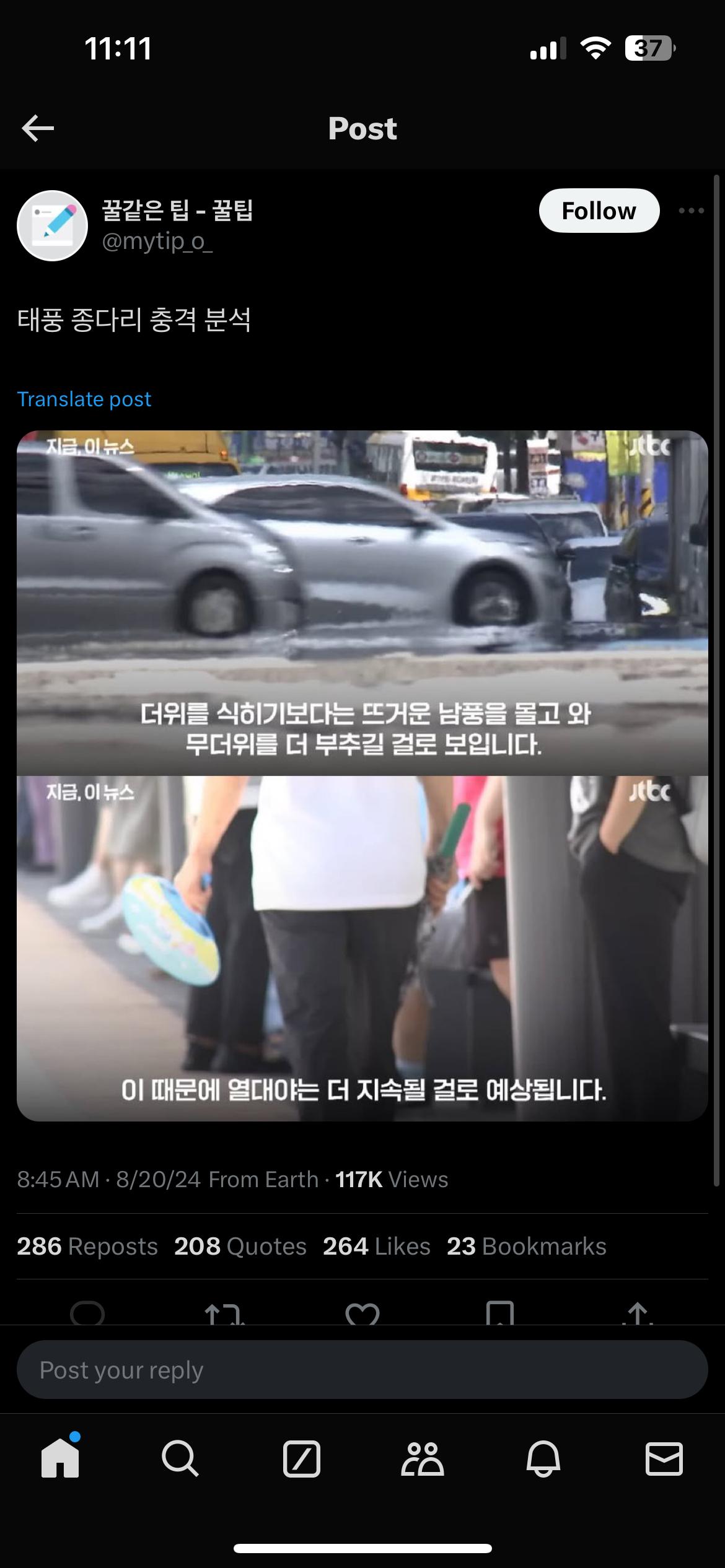 태풍 종다리 충격 분석