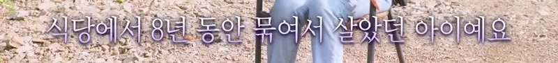 하염없이 짖어서 뇌졸중으로 쓰러진 주인 구한 개 상해 입자 보신탕 집에 넘긴 주인