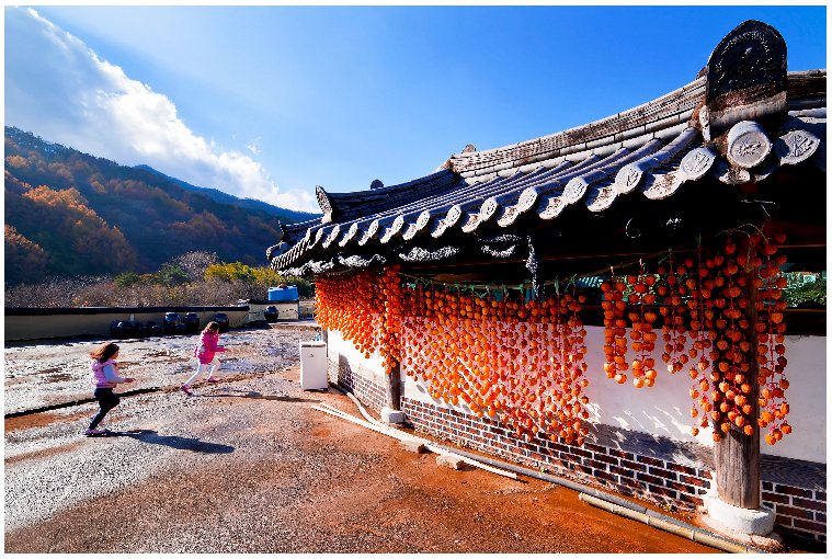 한국 시골