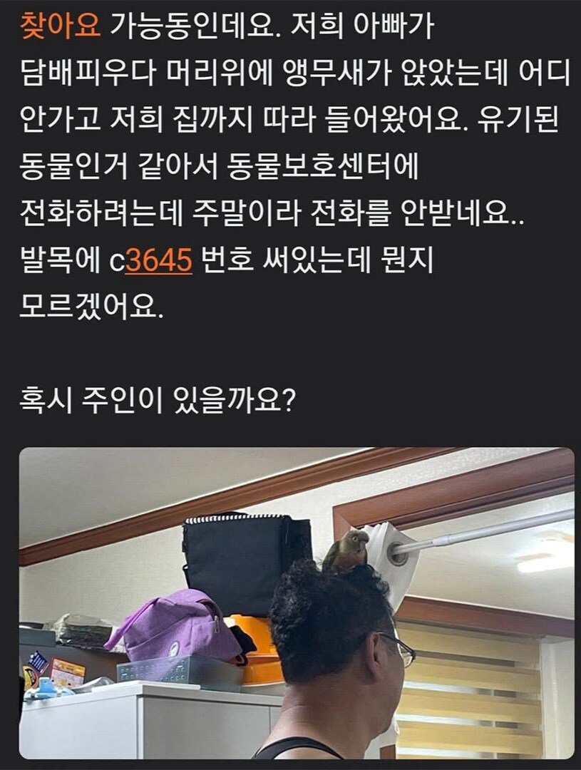 지나치게 친한 척하는 앵무새.