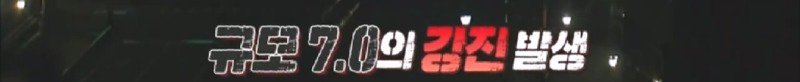 지진으로 교통,통신 수단이 마비되었을 때 집배원 역할을 해준 고양이