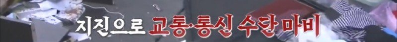 지진으로 교통,통신 수단이 마비되었을 때 집배원 역할을 해준 고양이
