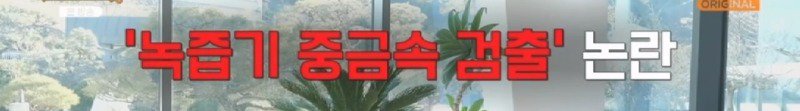 녹즙기에서 시작되어 발명된 착즙기