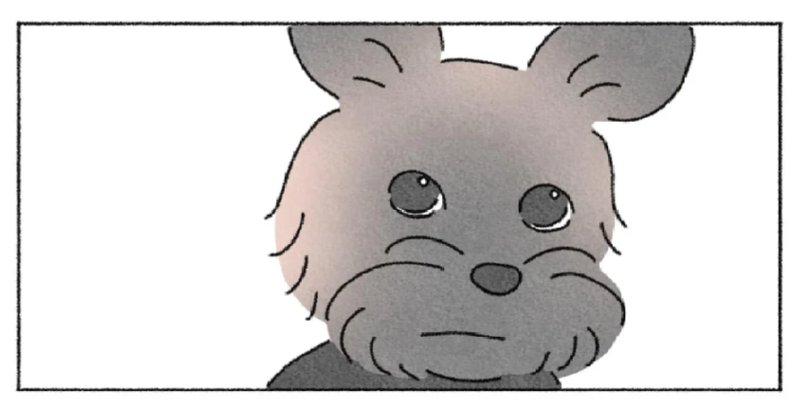 작가가 욕이나 박고 가라는 사연툰 만화.manwha