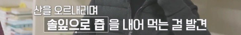 녹즙기에서 시작되어 발명된 착즙기