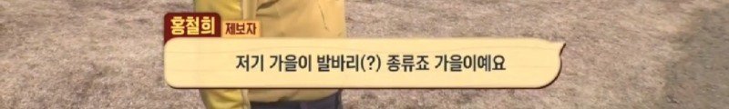 최근 입양한 강아지가 손에 닿을 거리를 유지하고 만지지 못하게 도망가던 사연
