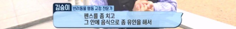 최근 입양한 강아지가 손에 닿을 거리를 유지하고 만지지 못하게 도망가던 사연