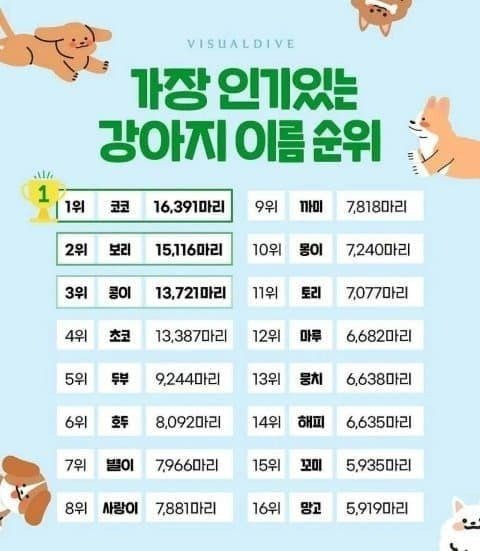 인기 강아지 이름순위