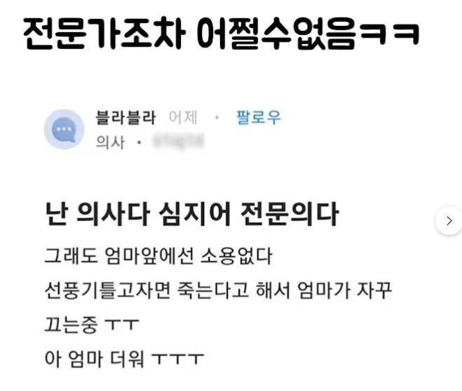 전문가조차 어쩔수 없음 ㅋㅋㅋ