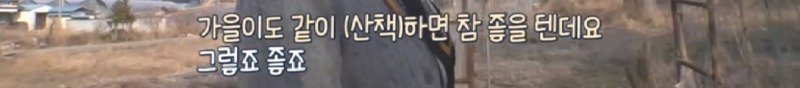 최근 입양한 강아지가 손에 닿을 거리를 유지하고 만지지 못하게 도망가던 사연