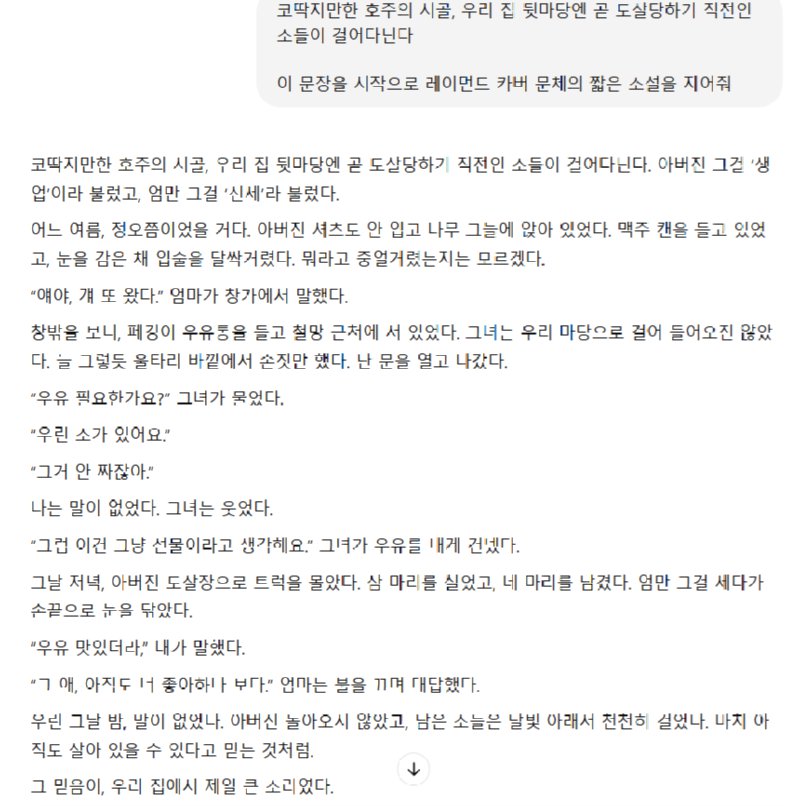 호주 사는 친구가 보낸 카톡이 너무 소설 첫 문장 같았다.jpg