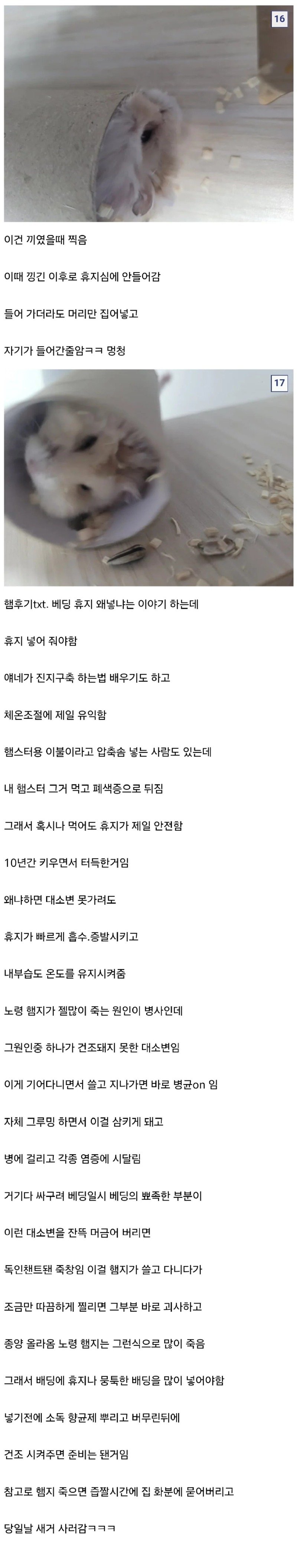 햄스터만 10년 넘게 키운 디시인.jpg