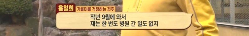 최근 입양한 강아지가 손에 닿을 거리를 유지하고 만지지 못하게 도망가던 사연