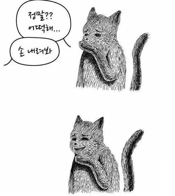 TK사는 오징어 : 네? 탄핵인용이라고요?!