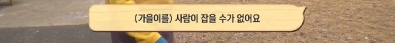 최근 입양한 강아지가 손에 닿을 거리를 유지하고 만지지 못하게 도망가던 사연