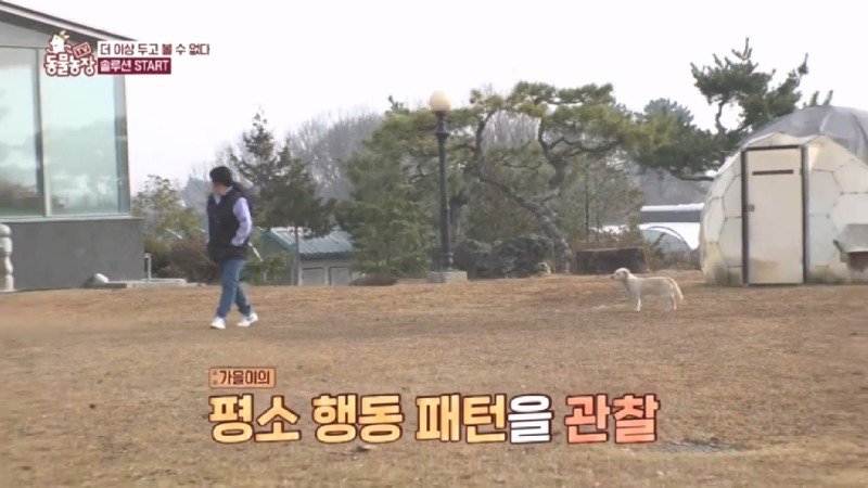 최근 입양한 강아지가 손에 닿을 거리를 유지하고 만지지 못하게 도망가던 사연