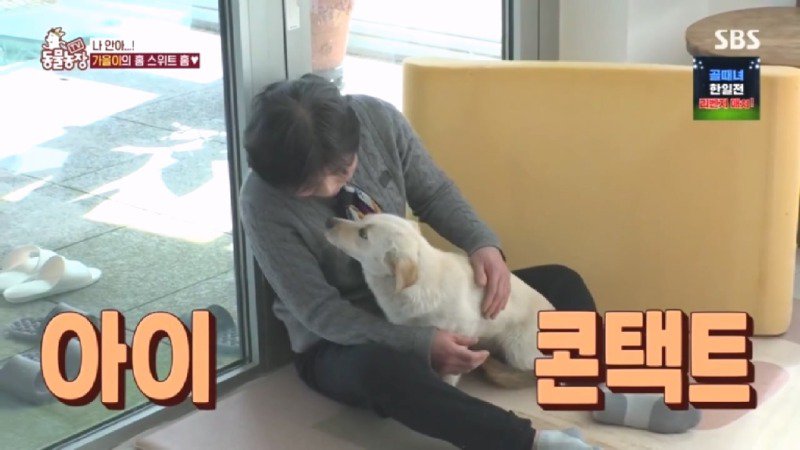 최근 입양한 강아지가 손에 닿을 거리를 유지하고 만지지 못하게 도망가던 사연