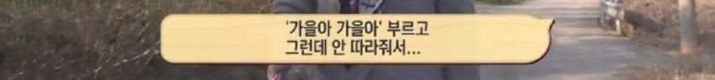 최근 입양한 강아지가 손에 닿을 거리를 유지하고 만지지 못하게 도망가던 사연