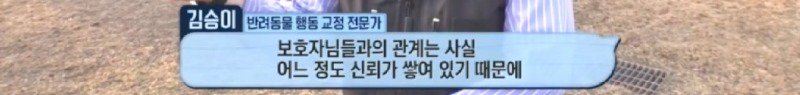 최근 입양한 강아지가 손에 닿을 거리를 유지하고 만지지 못하게 도망가던 사연