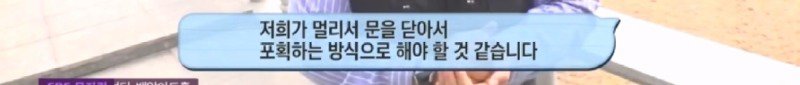 최근 입양한 강아지가 손에 닿을 거리를 유지하고 만지지 못하게 도망가던 사연