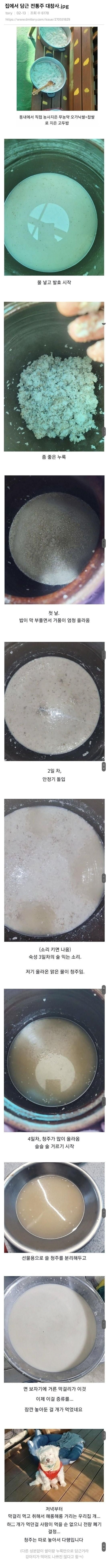 집에서 담근 전통주 대참사 ㄷㄷ..jpg