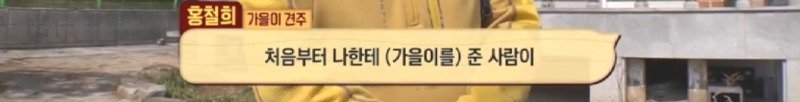 최근 입양한 강아지가 손에 닿을 거리를 유지하고 만지지 못하게 도망가던 사연