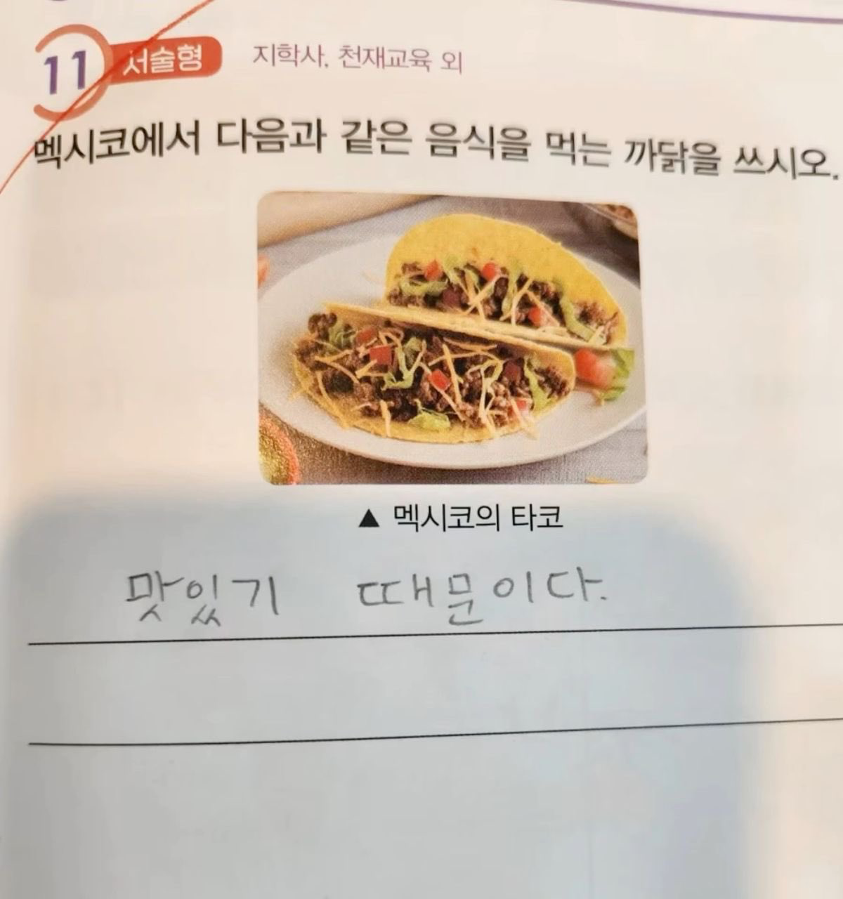 맥시코에서 타코를 먹는이유
