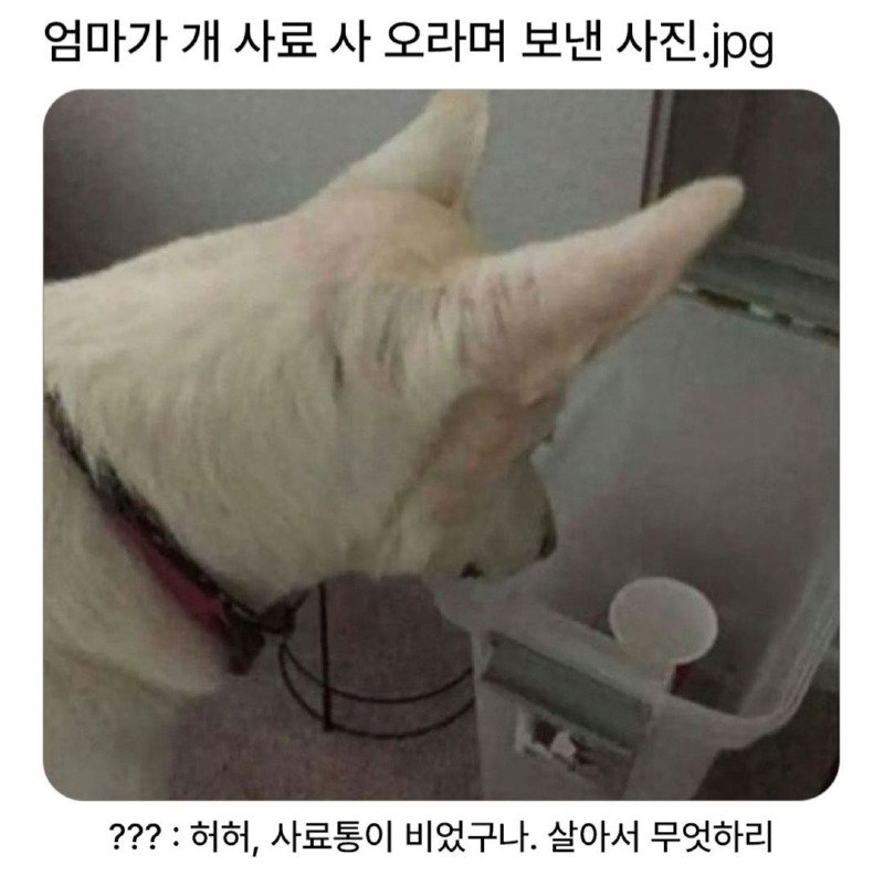 백구(자: 문약)