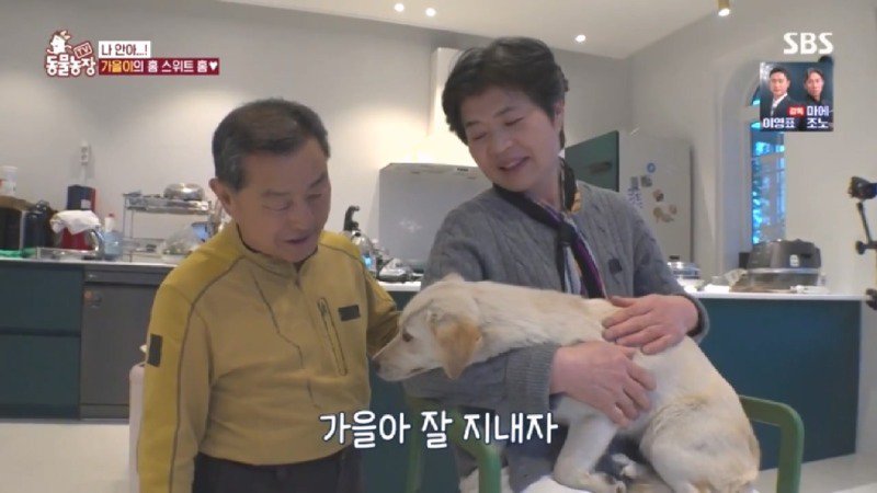 최근 입양한 강아지가 손에 닿을 거리를 유지하고 만지지 못하게 도망가던 사연