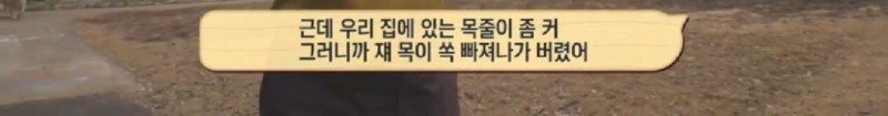 최근 입양한 강아지가 손에 닿을 거리를 유지하고 만지지 못하게 도망가던 사연