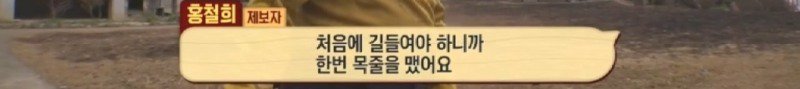 최근 입양한 강아지가 손에 닿을 거리를 유지하고 만지지 못하게 도망가던 사연