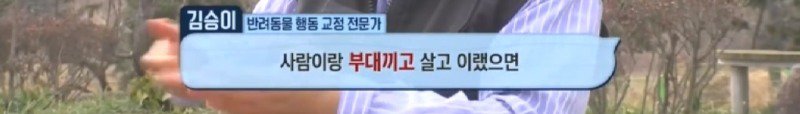 최근 입양한 강아지가 손에 닿을 거리를 유지하고 만지지 못하게 도망가던 사연