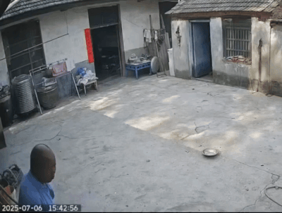 테무산 cctv
