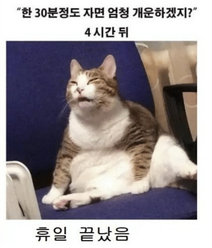 주말에 낮잠자면 안되는 이유